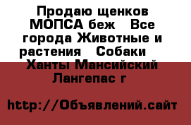 Продаю щенков МОПСА беж - Все города Животные и растения » Собаки   . Ханты-Мансийский,Лангепас г.